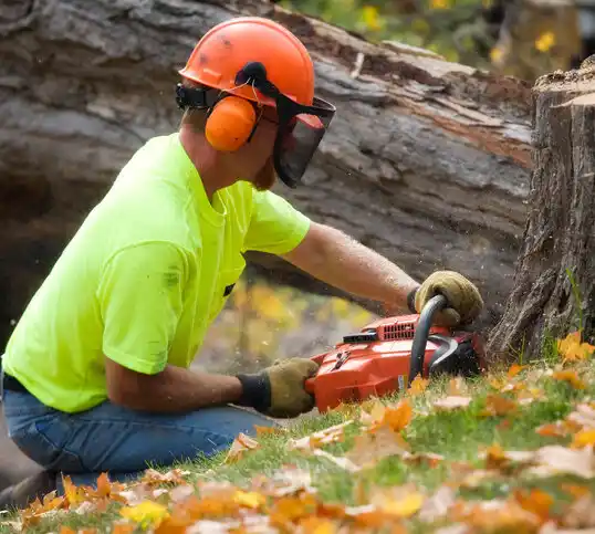 tree services Convoy